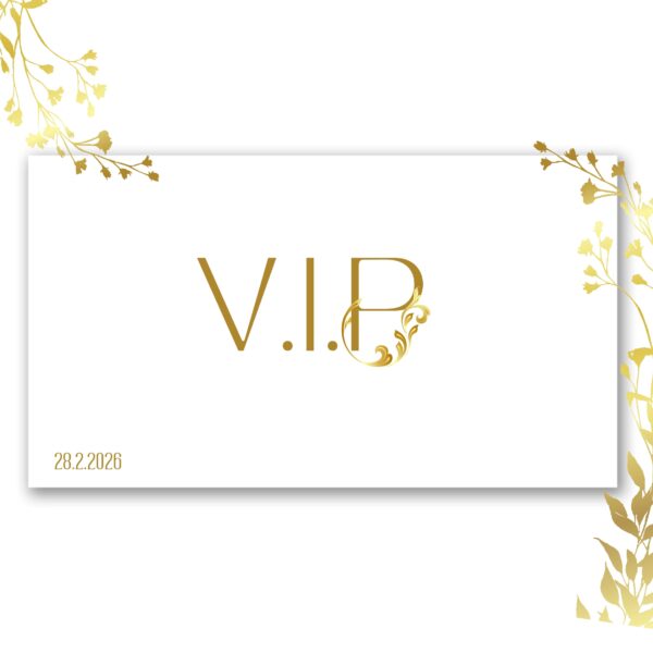 vstupenka ticket ples etards tanzball VIP