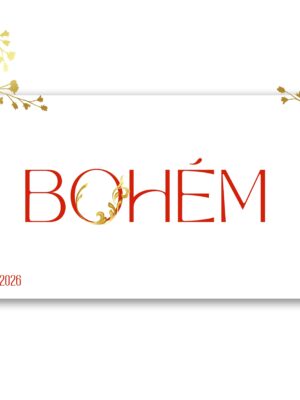 vstupenka na ples Gossau 2026 Švýcarsko Bohém