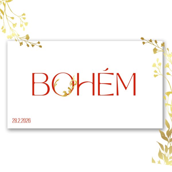 vstupenka na ples Gossau 2026 Švýcarsko Bohém